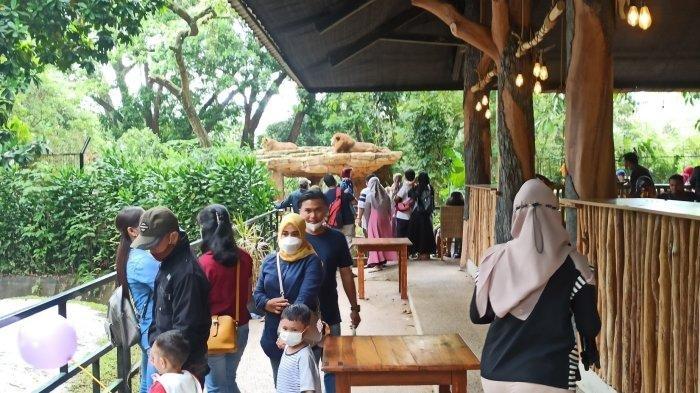 Jam Buka Tempat Wisata Kebun Binatang Bandung dan Daftar Wahana Permainan