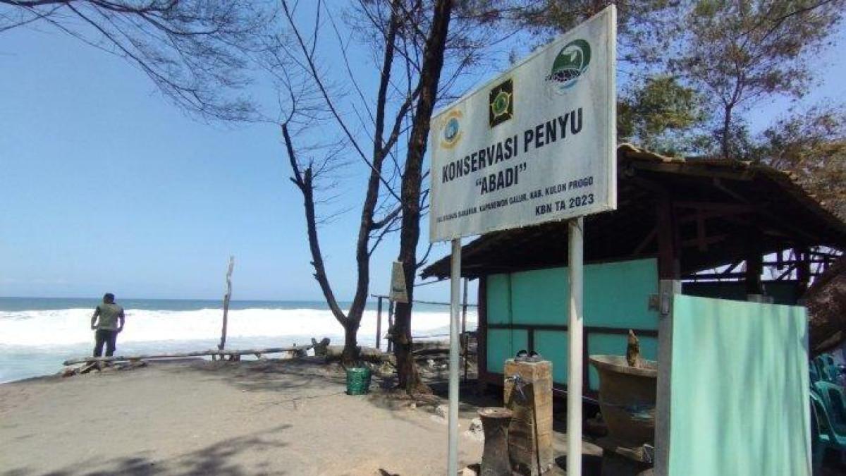 Suasana Pantai Trisik di Kapanewon Galur, Kulon Progo, Jogja