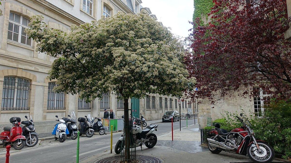 Suasana di Le Marais, Paris, Prancis.