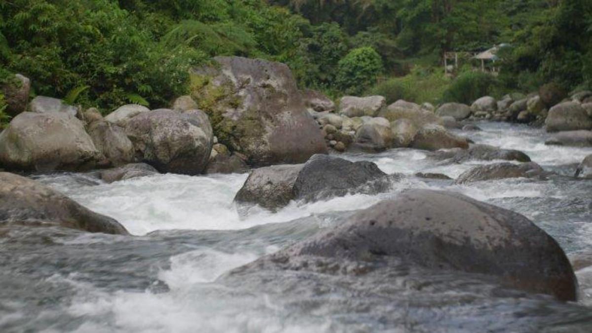 Ilustrasi wisata sungai.