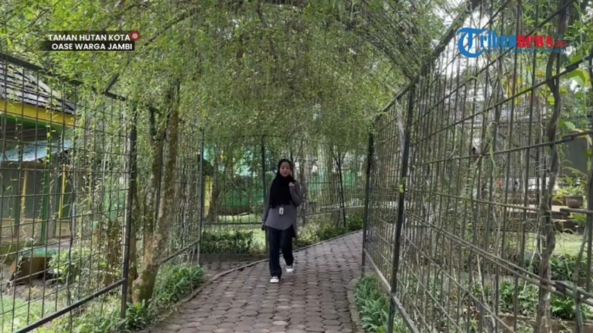 Taman Hutan Kota Muhammad Sabki atau yang kini ramai disebut sebagai Taman Hutan Kota Jambi, tempat healing hemat di Kota Jambi.