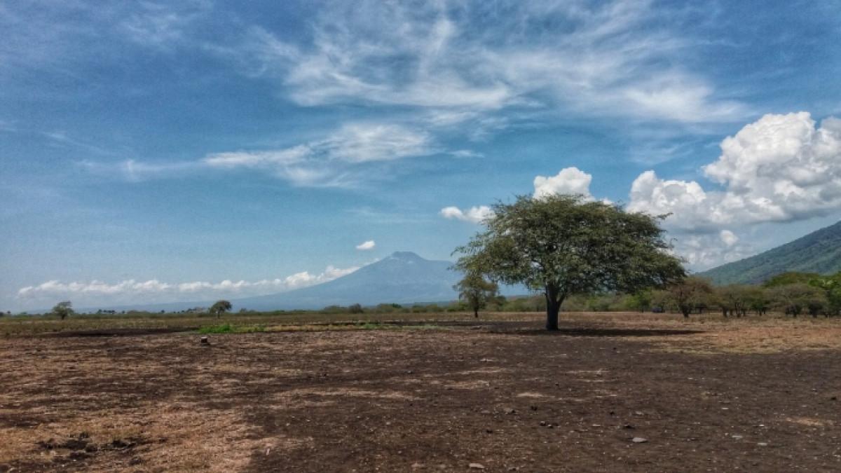 Taman Nasional Baluran, wisata alam di Situbondo, Jawa Timur yang cocok untuk healing.