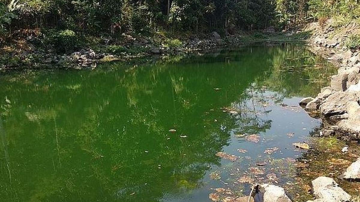 Telaga Nila, juga dikenal sebagai Telaga Biru, di Majalengka pada saat air sedang surut. Jika air tidak surut, warnanya berubah menjadi biru.