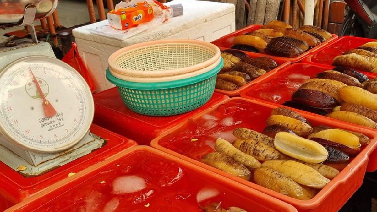 Teripang yang dijual di pasar Petak Sembilan, Glodok, Jakarta Barat, Jumat (13/1/2023).