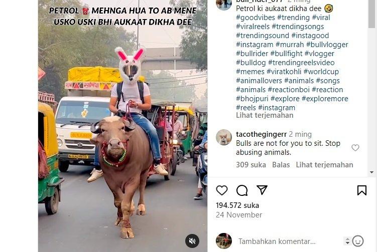 Video Viral Pria Berhelm Kelinci Naik Banteng di Jalan Ramai, Kena Hujat Warganet