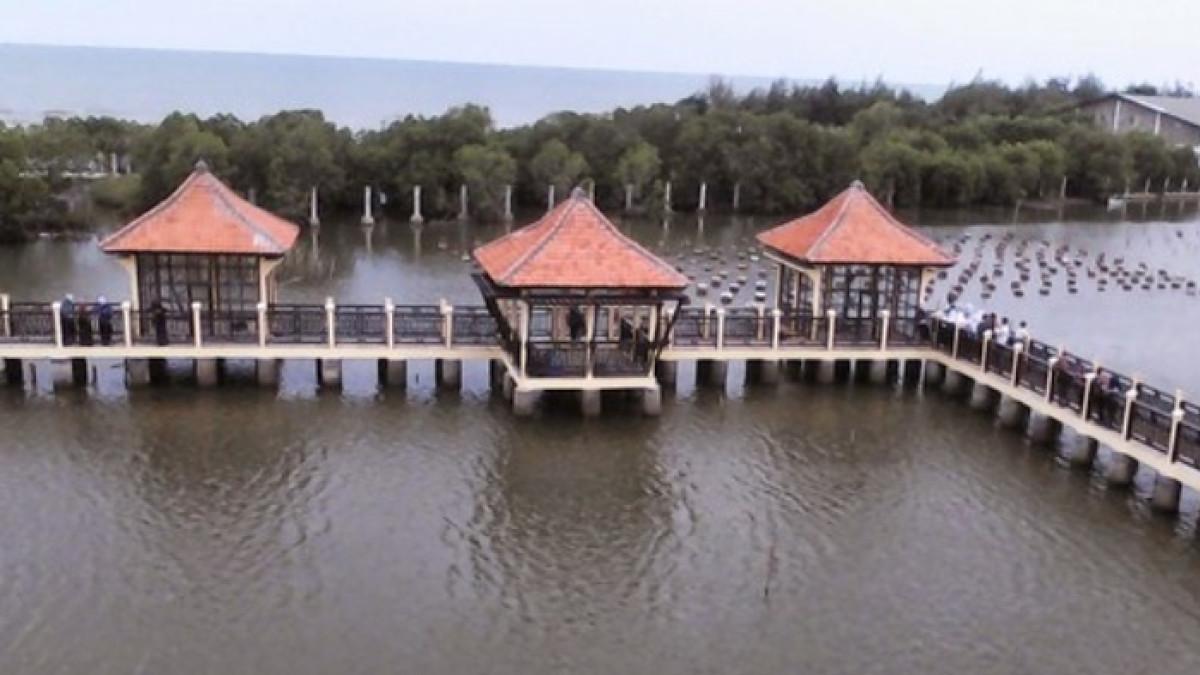 Wisata Mangrove Park Pekalongan, tempat wisata alam untuk liburan akhir pekan.