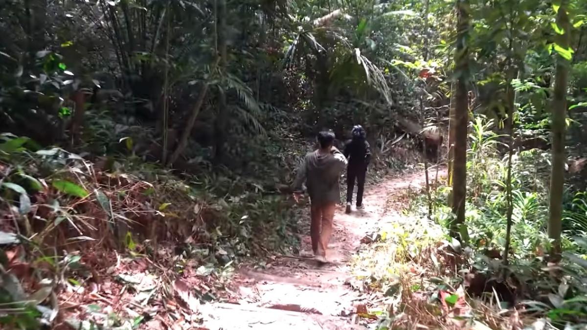 Wisatawan yang menikmati suasana di Bukit Bangkirai Kutai Kartanegara