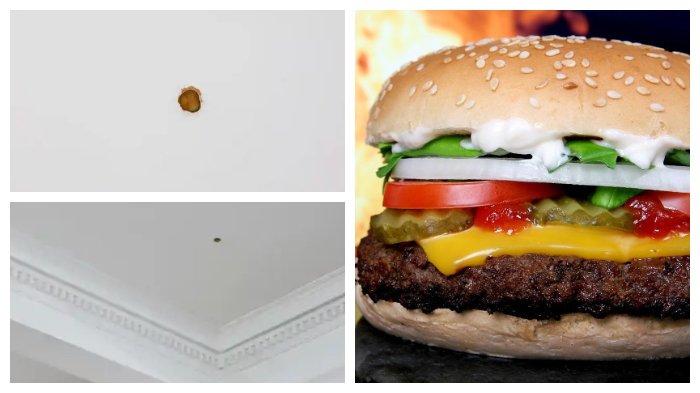 Acar Burger McDonalds Menempel di Atap jadi Karya Seni Bernilai Puluhan Juta Rupiah