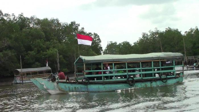 Wisata hutan bakau Bedul menaiki perahu Godang Gadung di kawasan Alas Purwo, Banyuwangi, Jawa Timur