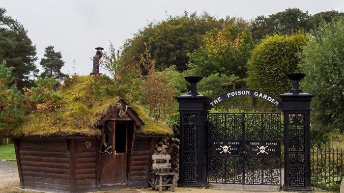 5 Tempat Wisata Paling Unik di Dunia, Pelajari Tanaman Beracun di Alnwick Poison Garden