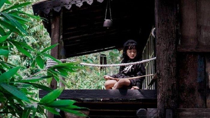 Camping Ground Aman Jernih Kabin di Bandar Lampung, Tawarkan Suasana Berbaur dengan Alam