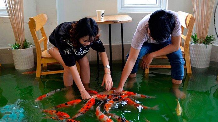 Amix Cafe, Kafe Unik di Vietnam yang Tawarkan Sensasi Minum Kopi di Dalam Kolam Ikan