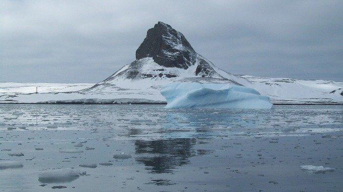 Ilmuwan Temukan Makhluk Aneh di Antartika Kedalaman 5.000 Meter