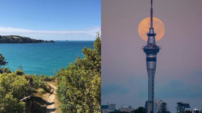 Dinobatkan jadi Kota Termurah untuk Liburan 2018, Ini 5 Destinasi Seru di Auckland, Selandia Baru