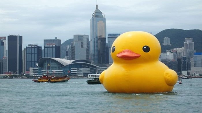 Sebesar Itu Bisa Raib? Balon Bebek Raksasa Berhasil Ditemukan Usai Menghilang Selama Hampir Seminggu
