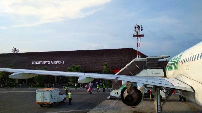 Gara-gara Diserbu Makhluk Ini, Penerbangan di Bandara Adisucipto Yogyakarta Ditutup Sementara