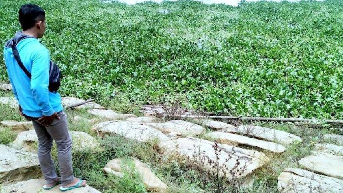 Susunan batu mirip kursi di tepi Waduk Jatiluhur, Kampung Ciputat, Desa Kutamanah, Kecamatan Sukasari, Kabupaten Purwakarta, Jawa Barat