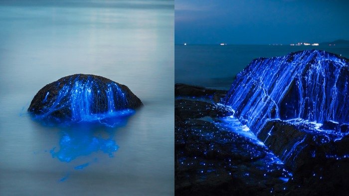 Aneh! Batuan Ini Keluarkan Cairan Biru Bercahaya Saat Malam, Setelah Diamati Ternyata Itu . . .