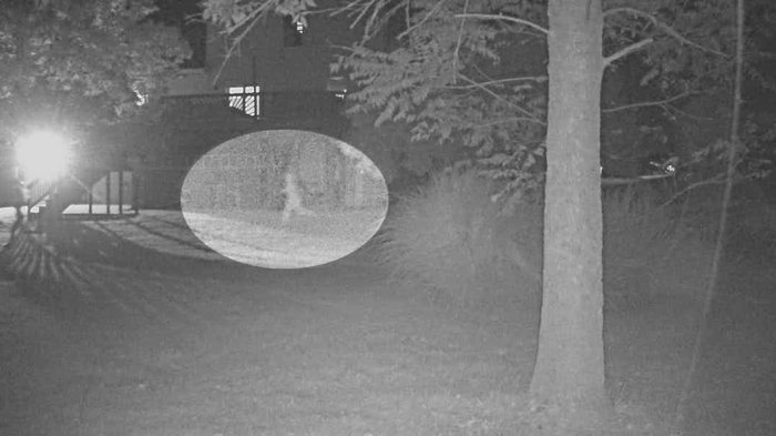 Merinding Parah! Sekilas Tampak Normal, 9 Foto Ini Tangkap Sosok Misterius Tak Kasat Mata