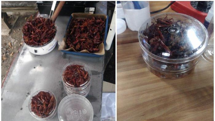 4 Kuliner Ekstrem di Gunungkidul, Mulai Belalang Goreng hingga Kelelawar Bacem