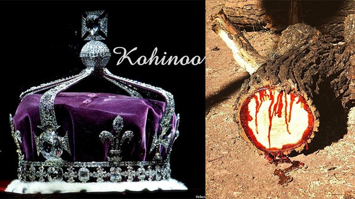 Dianggap Terkutuk, Ini 5 Benda Paling Misterius di Seluruh Dunia! No 1 Justru Dipakai Ratu Inggris