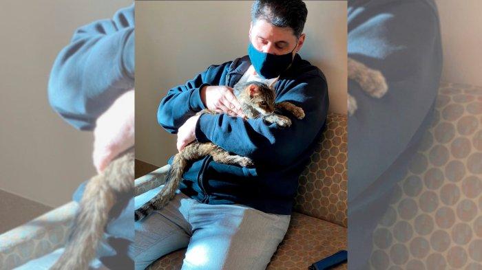 Tersesat Selama 15 Tahun, Kucing Ini Berhasil Dipertemukan dengan Pemiliknya