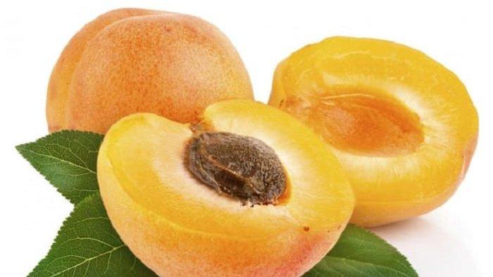 7 Manfaat Mengonsumsi Buah Aprikot Bagi Kesehatan Tubuh, Termasuk Mencegah Penuaan Dini