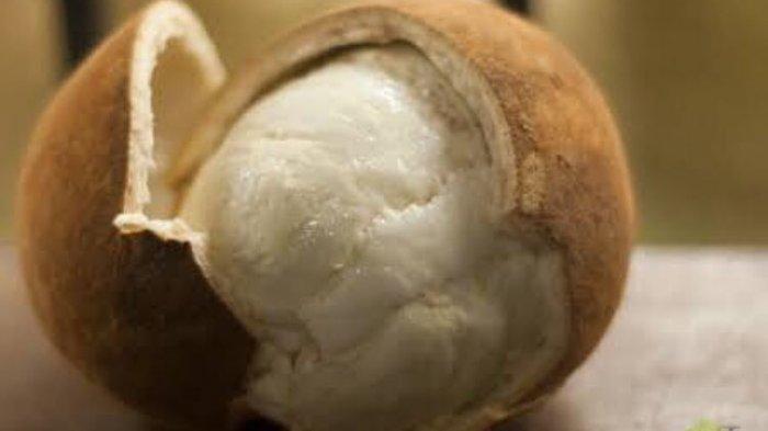 7 Manfaat Buah Cupuacu yang Kaya Antioksidan untuk Kesehatan Tubuh