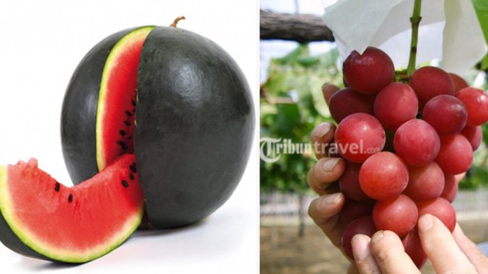 Fantastis! 8 Buah Ini Punya Harga Selangit, yang Terakhir Malah Bisa Buat Beli Rumah