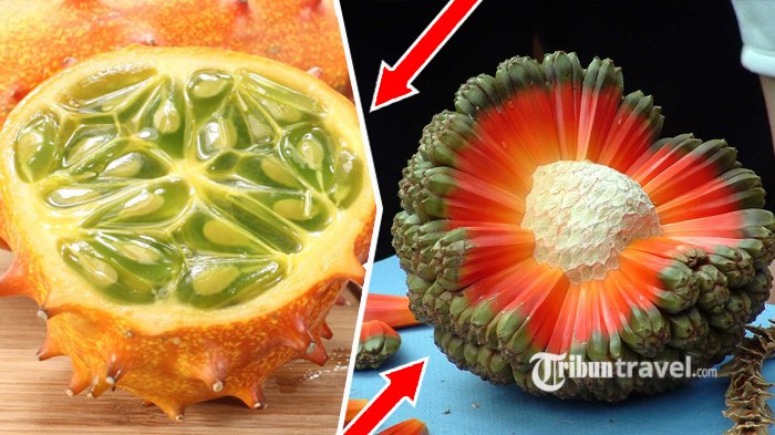 10 Buah Langka tapi Eksotis, Setelah Dibuka Isinya Bikin Takjub, 4 di antaranya Ada di Indonesia