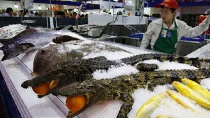 Cuma Ada di China! Inilah 9 Barang Aneh dan Nyeleneh yang Dijual di Supermarket! No 7, Serem Banget