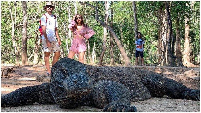 Liburan ke Labuan Bajo, Bunga Citra Lestari Foto Bareng Komodo