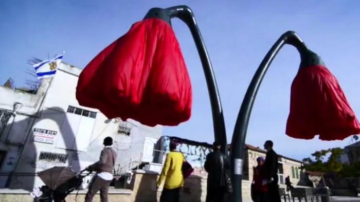 Bukan Untuk Dipetik! Bunga Raksasa Ini Mekar Saat Ada Orang di Bawahnya, Lihat Fungsinya