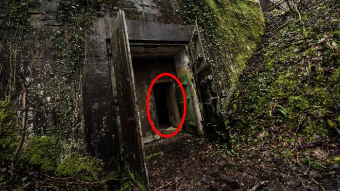 Cari Lokasi Pemotretan, Fotografer Ini Temukan Bunker Hitler, Ini yang Ditemukan di Dalamnya