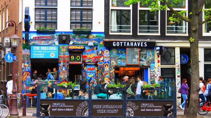 Cafe Bulldog Belanda - Gila! Daun Memabukkan di Sini Dilegalkan, Benerkah?