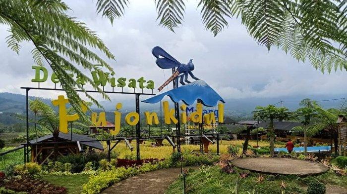 Jam Buka dan Harga Tiket Masuk Cafe Sawah Pujon Kidul Terbaru 2021