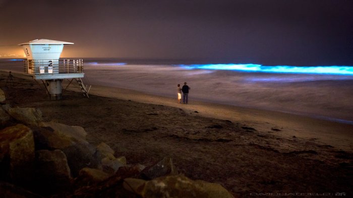 Jarang Terjadi, Ombak di Pantai Torrey Pines California Ini Berubah Warna Jadi Biru Neon