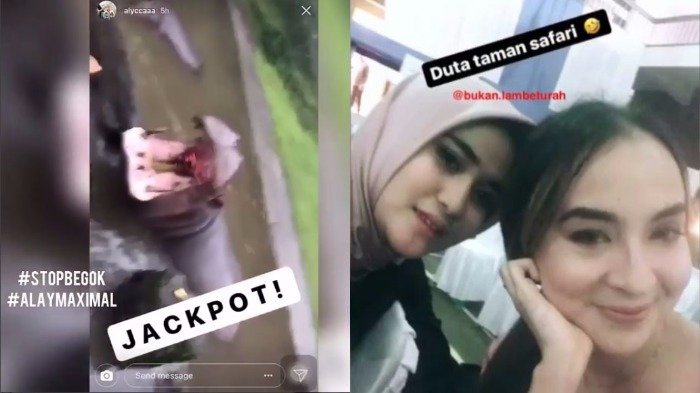 Ingat Kasus Pengunjung Cekoki Miras ke Satwa? Taman Safari Bantah Pelakunya Dijadikan Duta