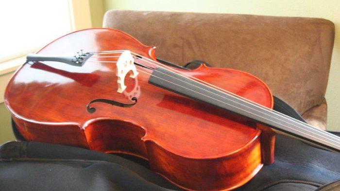 Pihak Maskapai Dikecam usai Tolak Pemain Cello Bawa Masuk Alat Musiknya Meski Sudah Reservasi