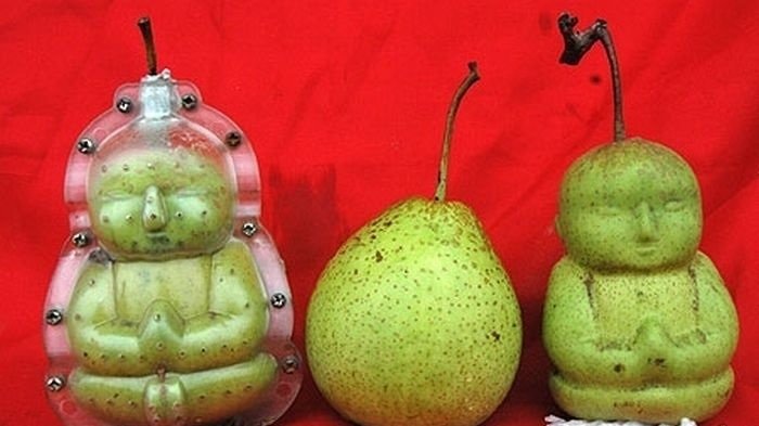 10 Produk Aneh Ini Punya Kegunaan di Luar Dugaan, Nggak Penting Sih Tapi Lucu