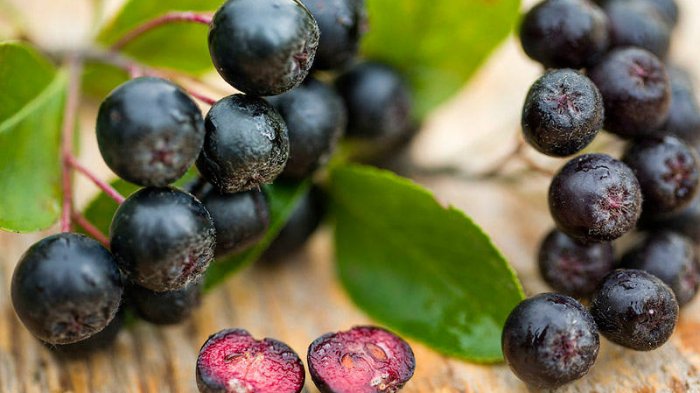 5 Buah dan Sayuran Sehat yang Namanya Asing di Telinga, Mulai Arame hingga Chokeberry