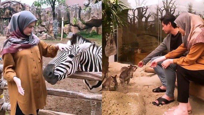 Liburan Artis - Begini Pose Cut Meyriska saat Beri Makan Zebra hingga Kanguru di Taman Safari