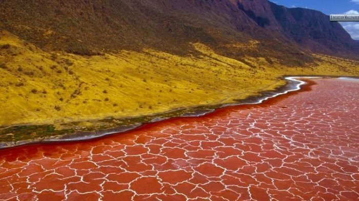 Tak Aman Dipakai untuk Berenang, Inikah 5 Danau Paling Mematikan di Dunia?