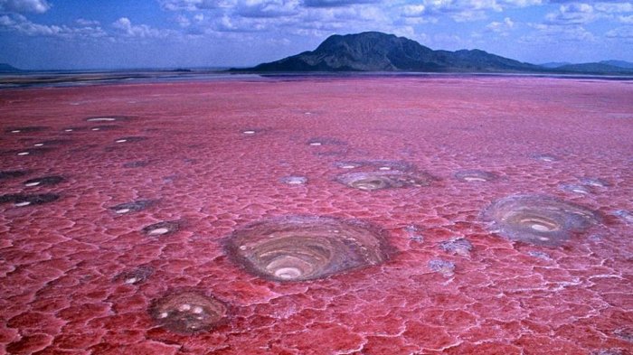 Mengenal Danau Natron di Tanzania, Punya Pemandangan Cantik Namun Mematikan