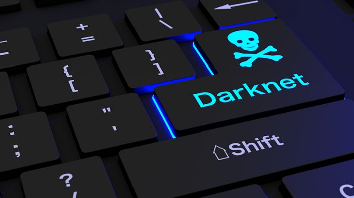 Hati-hati Saat Internetan! Inilah 5 Hal Tak Lazim yang Kamu Temukan di Situs Mengerikan Dark Web