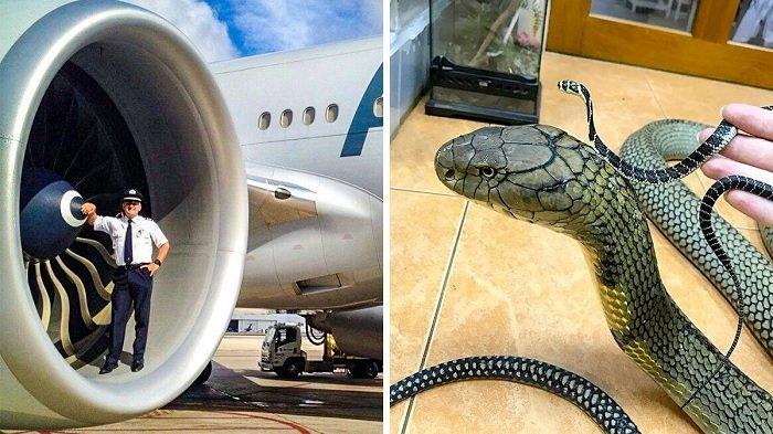 8 Foto Kejadian Langka yang Tak Banyak Orang Tahu, Lihat Ukuran Mesin Boeing 787 dengan Manusia