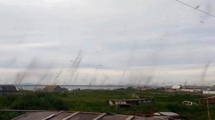 Viral di Medsos, Desa di Rusia Diserbu Miliaran Nyamuk hingga Membentuk Badai Tornado