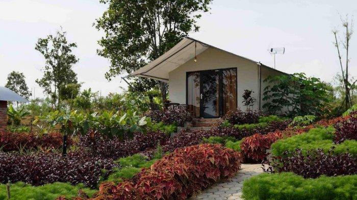 Desa Wisata Ekang Pulau Bintan