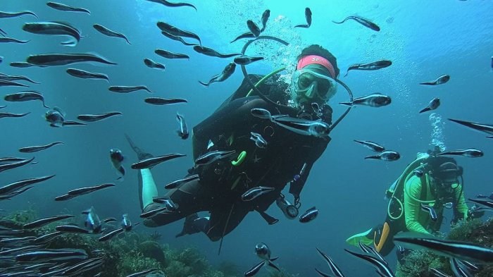 Ini Dia Spot Paling Keren untuk Menyelam di Raja Ampat, Pemula Wajib Mencoba