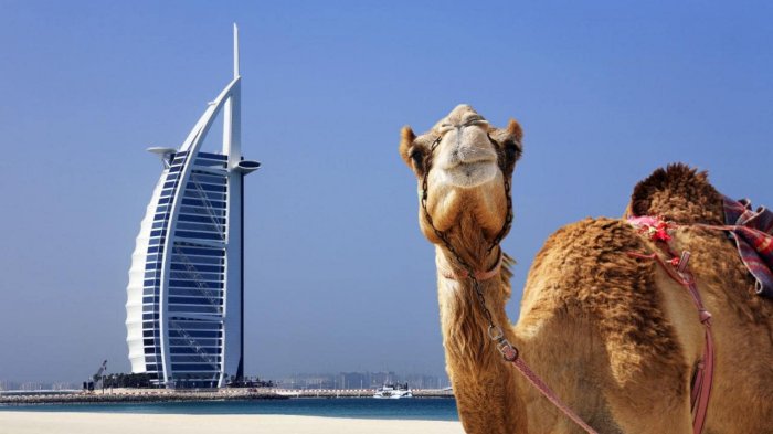 Catat! Ini 10 Hal Paling Mengagumkan yang Bisa Traveler Lakukan GRATIS di Dubai